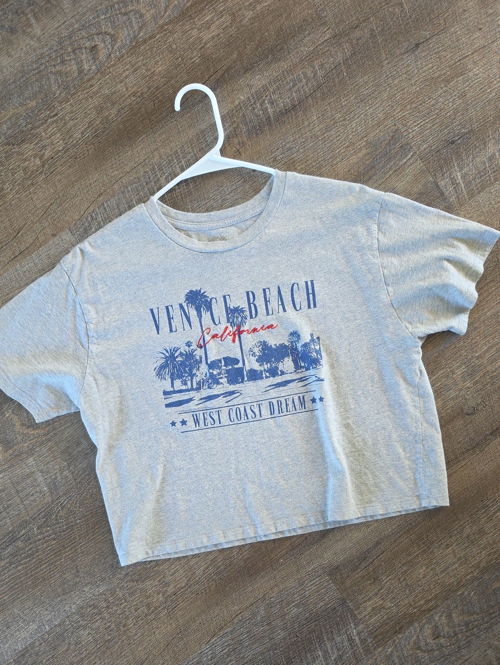 Venice Beach California Graphic Crop Top - Light Gray